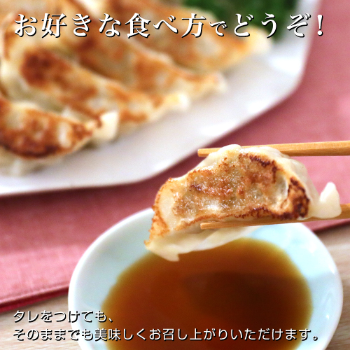 北海道　とかち桃花豚野菜餃子