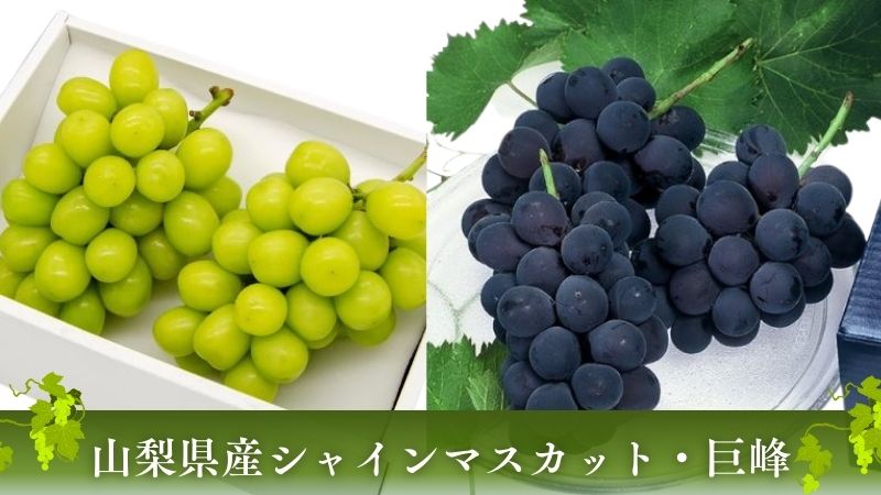 シャインマスカット
